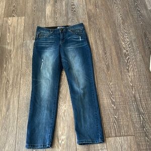 Denim jeans/Democracy brand/Stretchy waistband/Size 8P